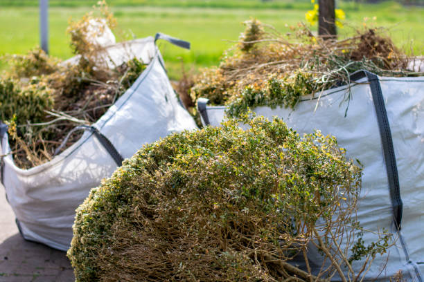 Best Attic Cleanout Services  in Chester, NY
